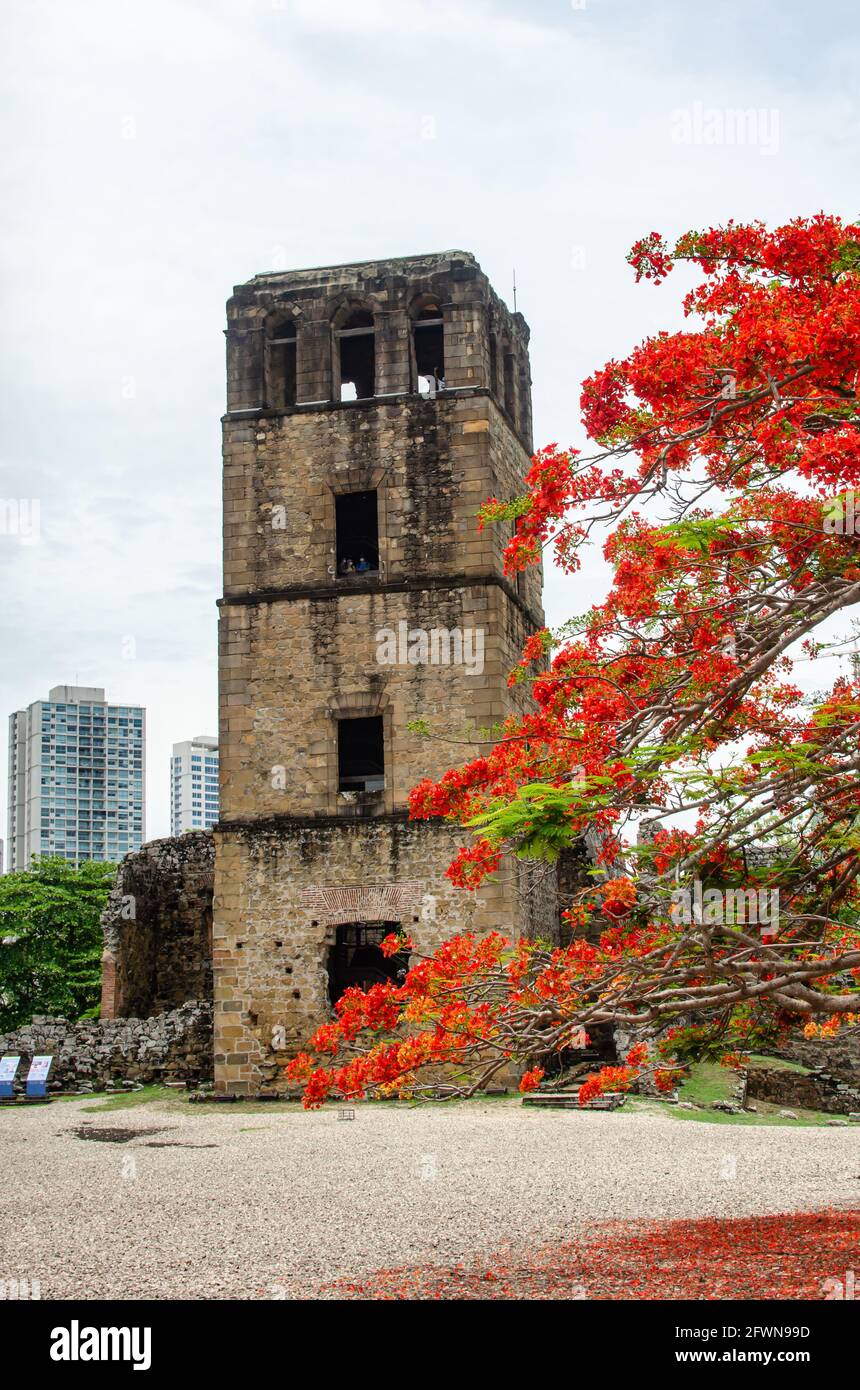 Cathedral Tower of Panama Viejo Stock Photo
