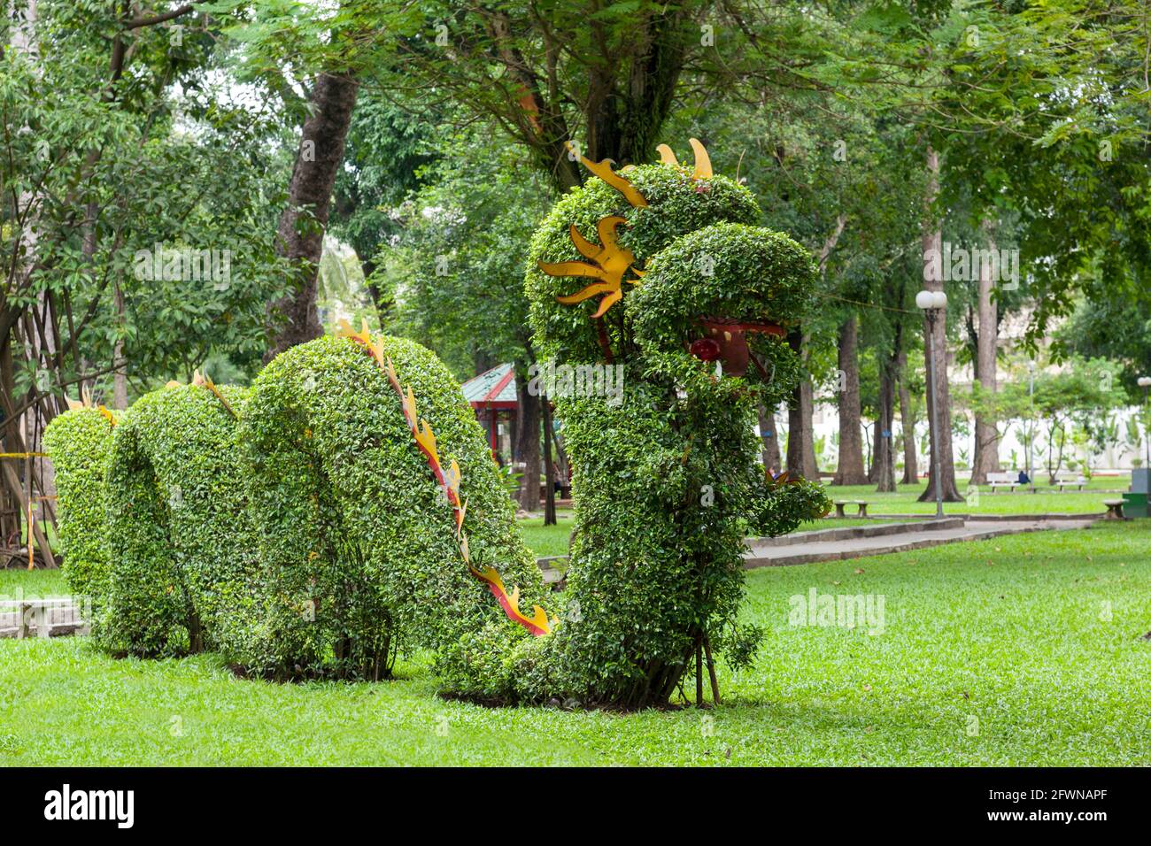beautiful hedge dragon in a park Stock Photo