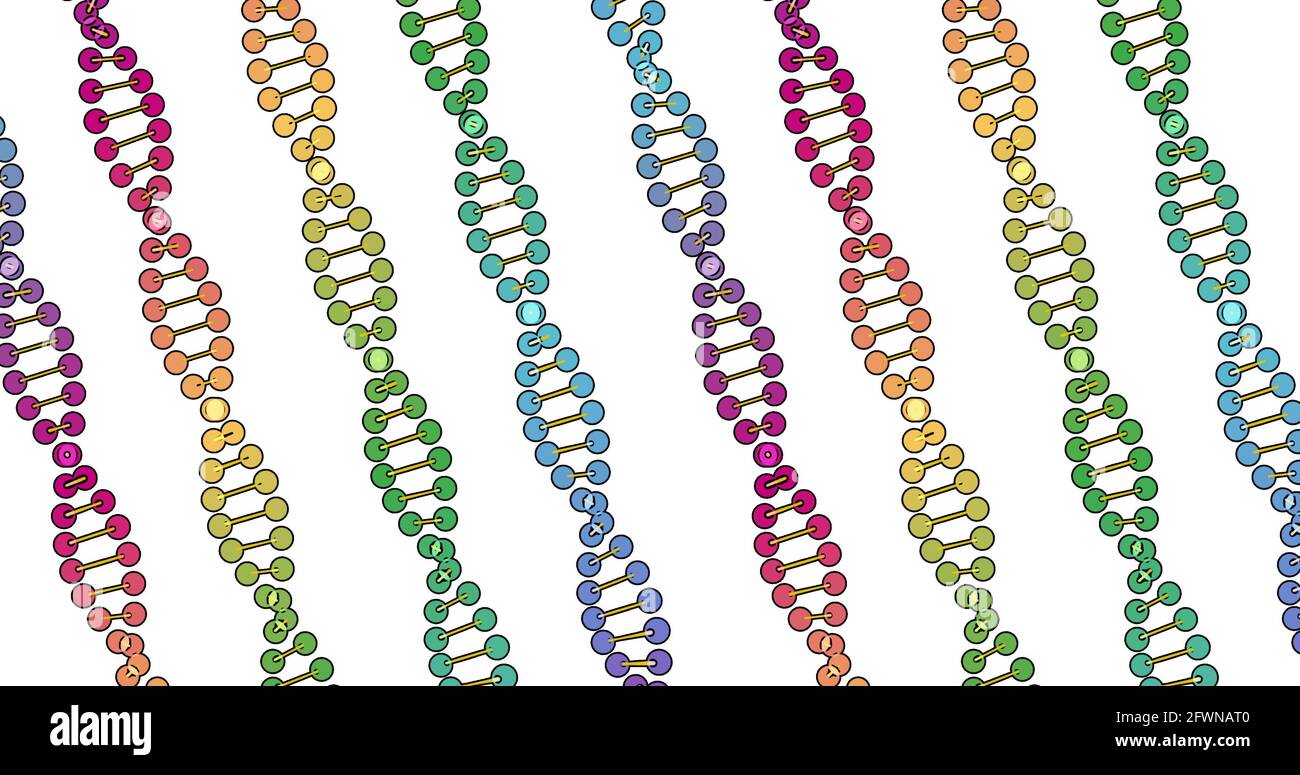 color visualization of DNA analysis isolated on white background 3d  rotation animation, for montage and medical training Stock Photo - Alamy