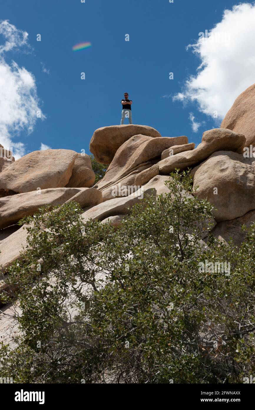 Man Stands Up On Tall Rock in Joshua Tree National Park Stock Photo