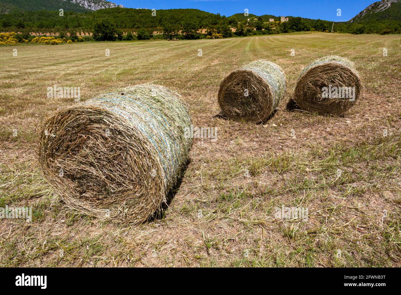 hay harvest in provence france Stock Photo