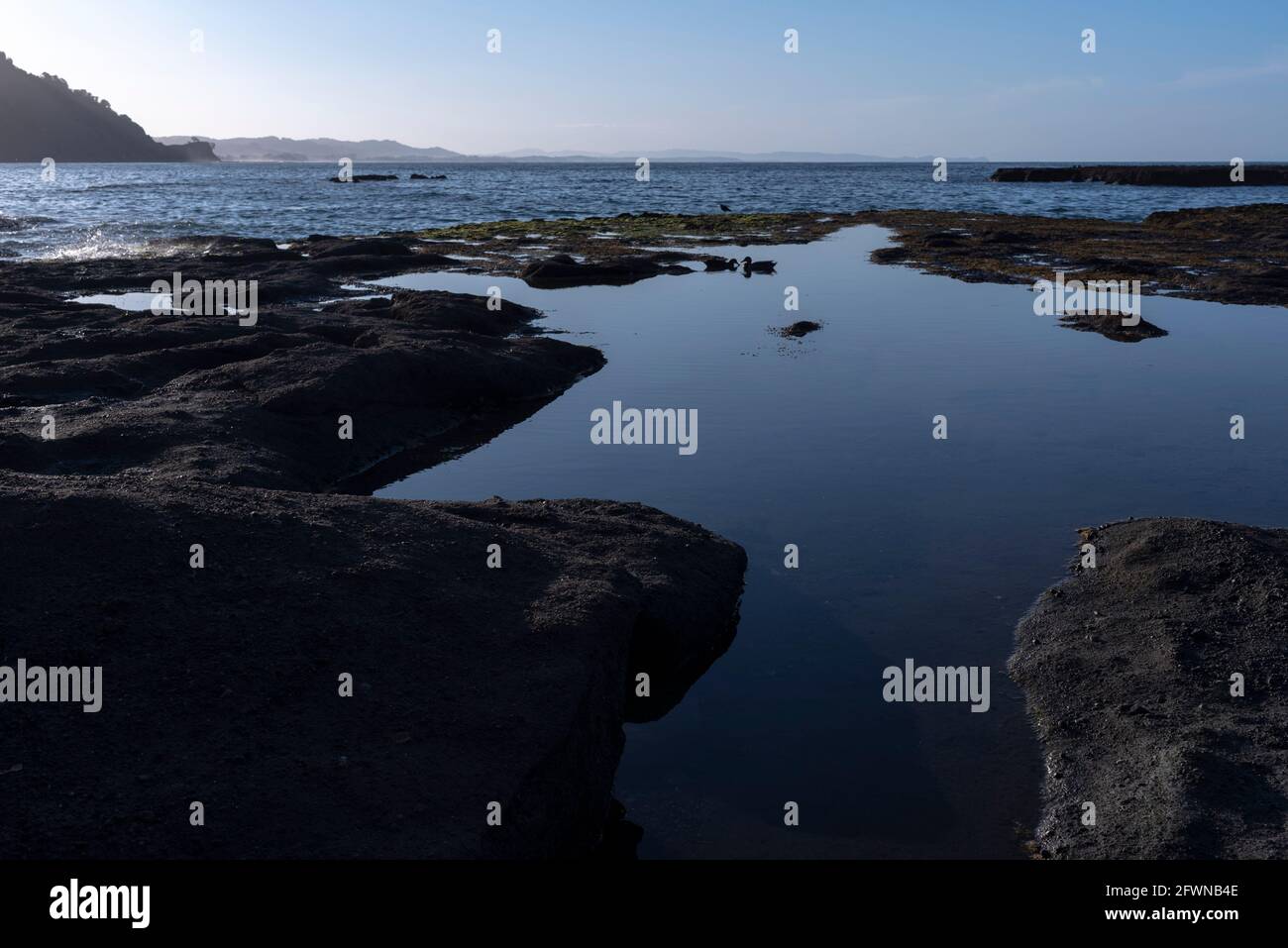 Auckland region, New Zealand. Tide pools at sunset Stock Photo