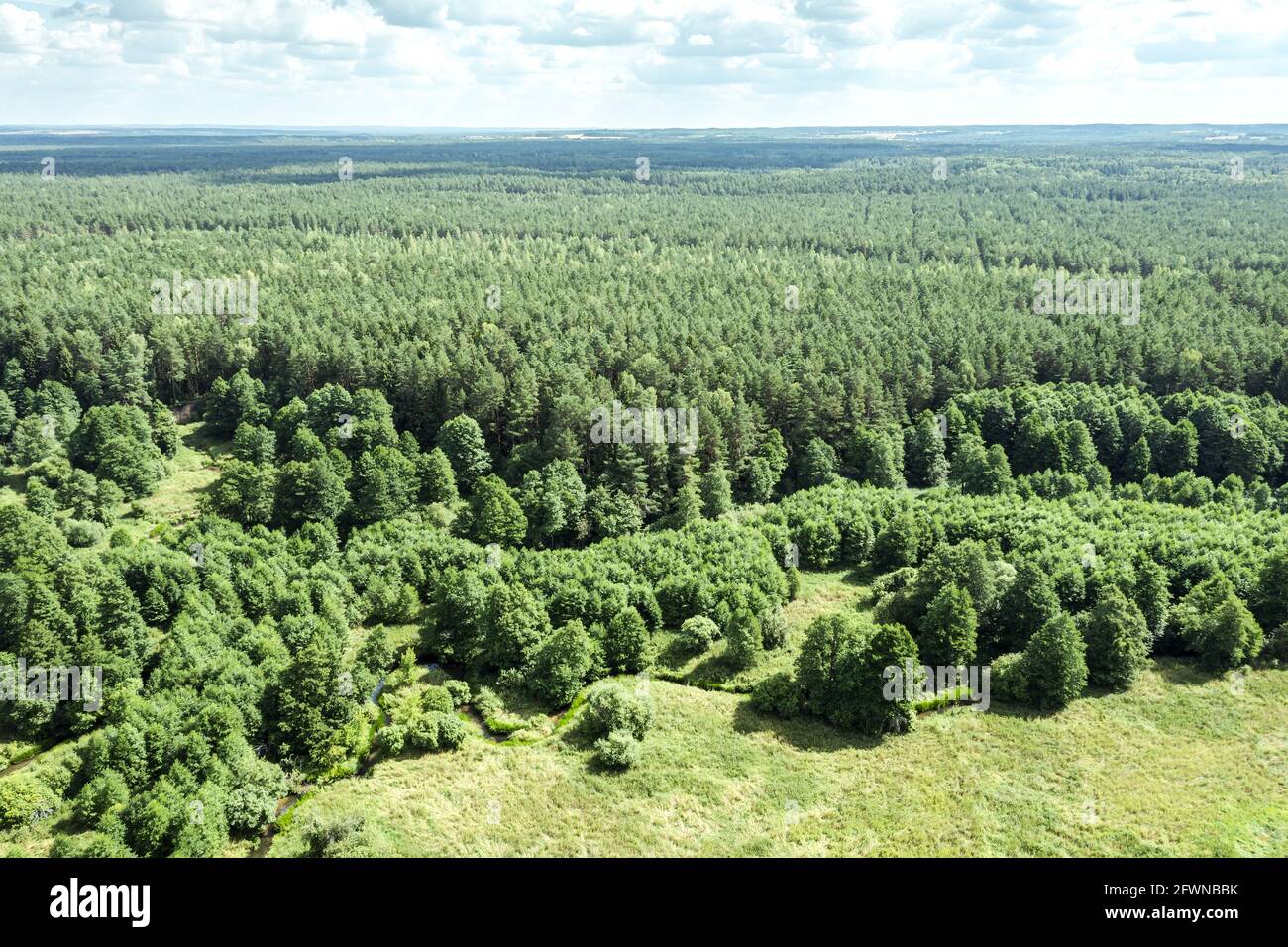 Green forest aerial blue sky hi-res stock photography and images - Alamy