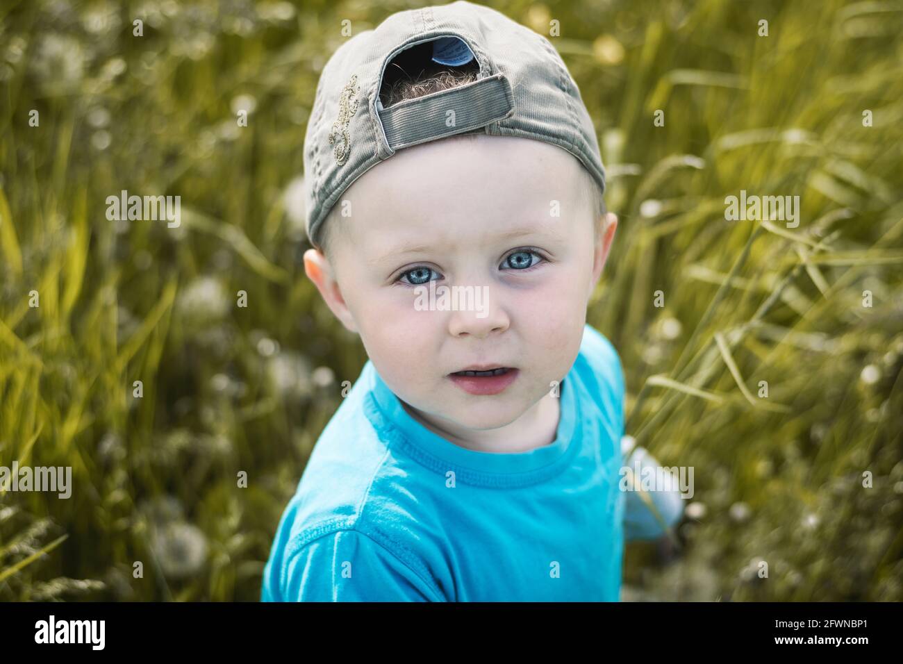 Two-year-old Caucasian boy in baseball cap and blue t-shirt looks up to Camera. In the background defocused grass with damped colors. Stock Photo