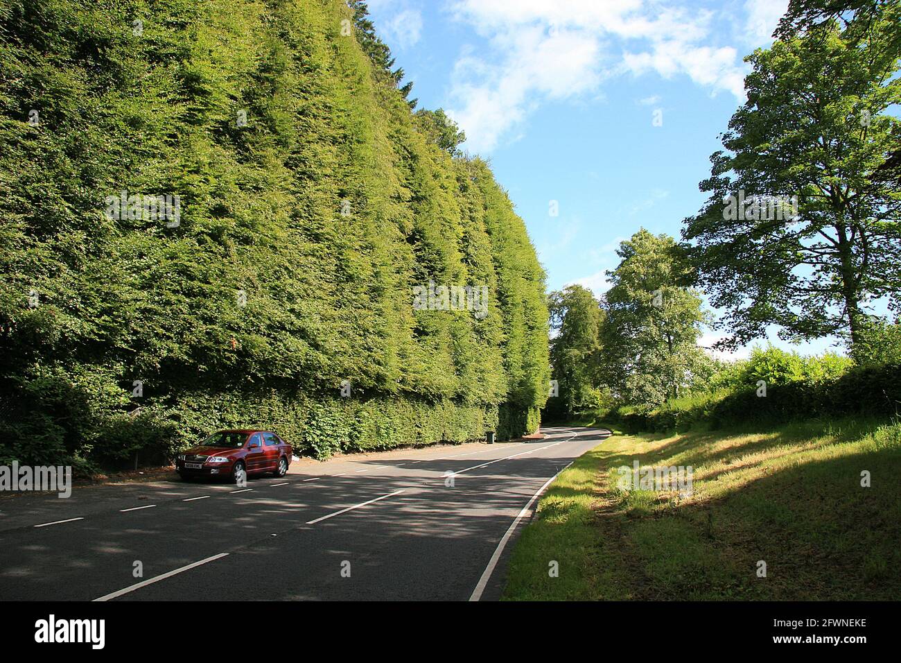 Worlds tallest hedge hires stock photography and images Alamy