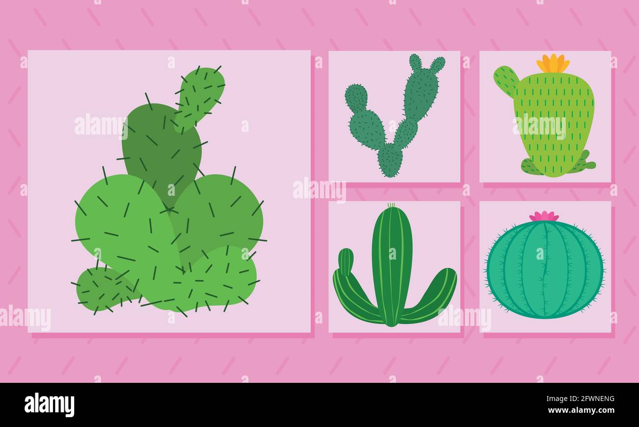 cactus plants icon set design Stock Vector