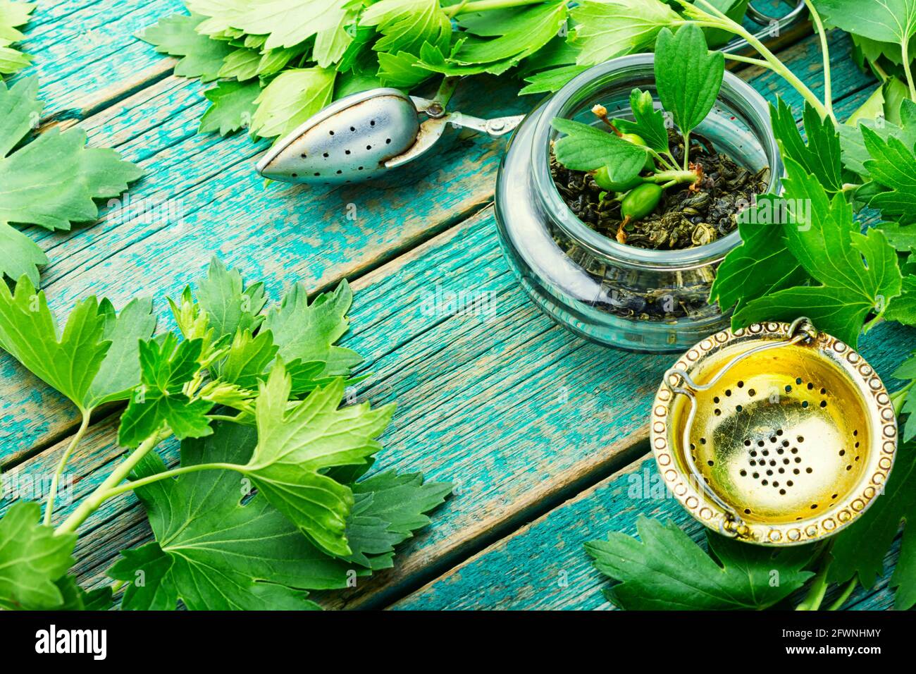 Herbal tea with fresh currant foliage.Herbal medicine Stock Photo