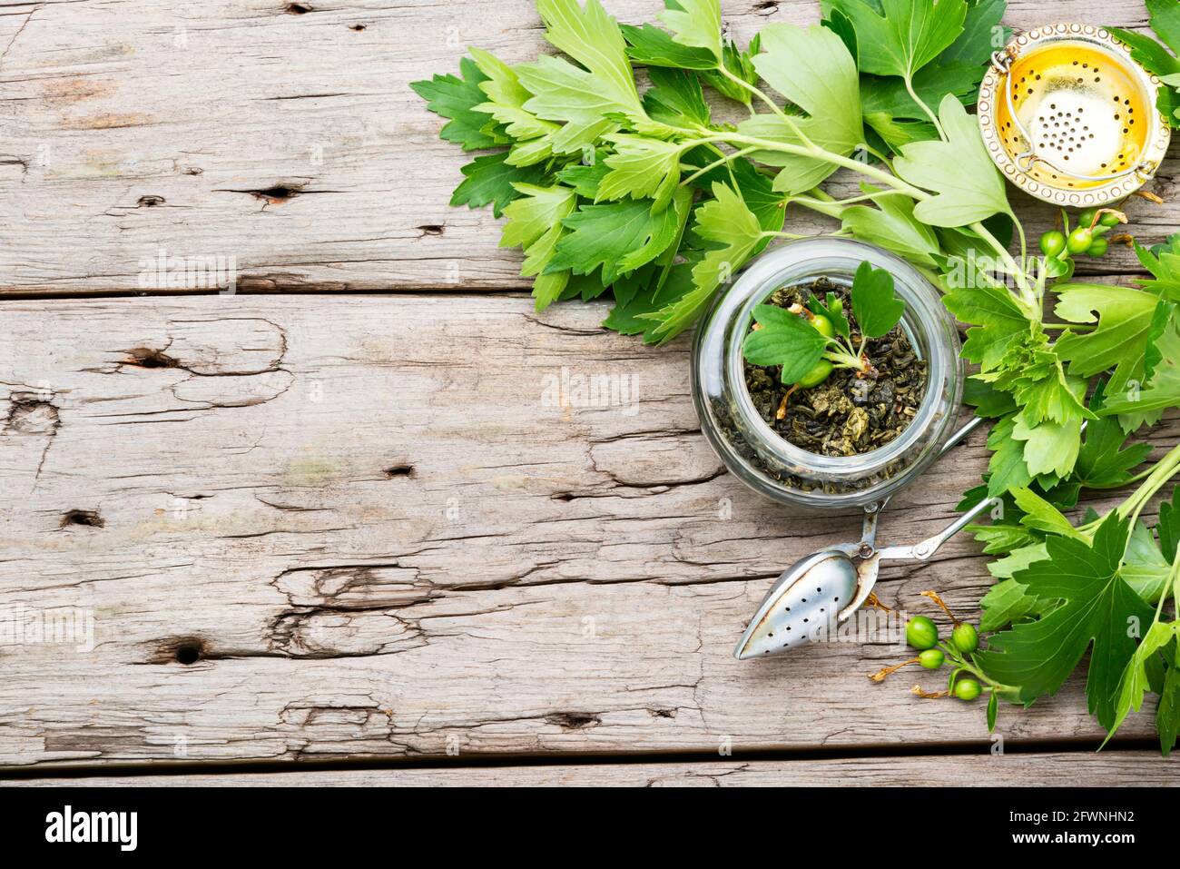 Herbal tea with fresh currant foliage.Herbal medicine.Copy space Stock Photo