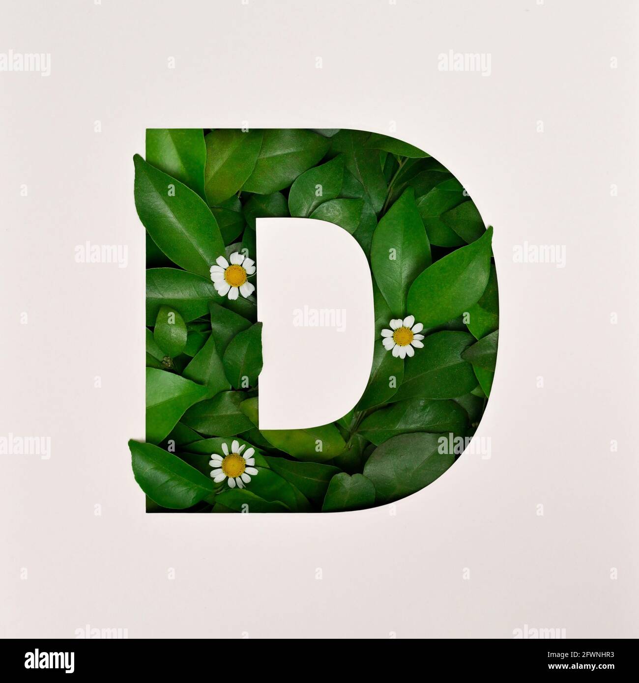 font design abstract alphabet font with leaves and flower realistic leaves typography d stock photo alamy