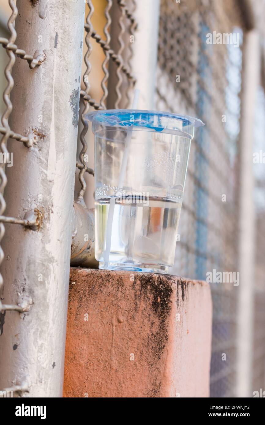 Plastic cups with water on the wall of fence or barrier made of rails Stock Photo