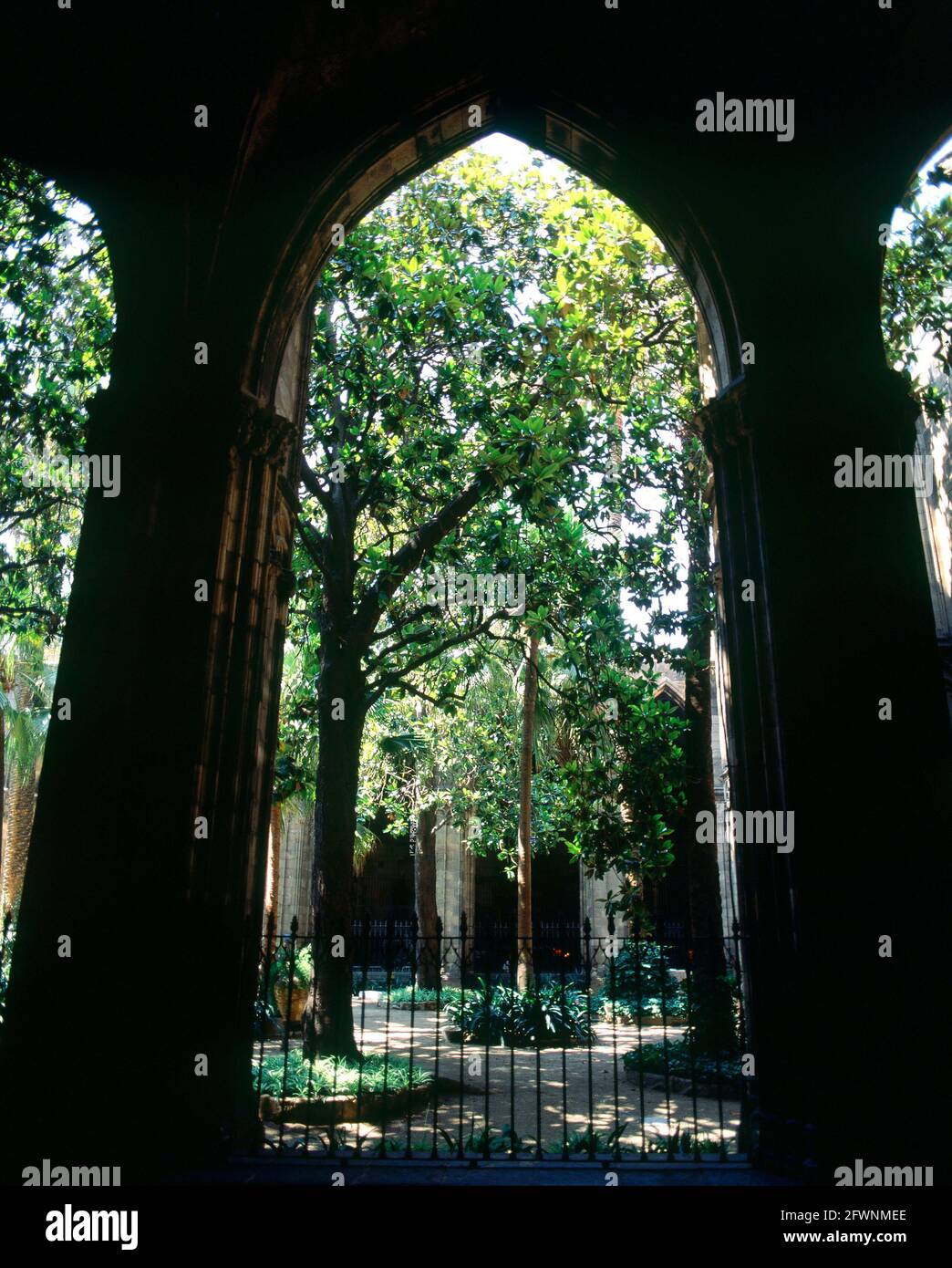 JARDIN DEL CLAUSTRO DE LA CATEDRAL DE BARCELONA - FOTO AÑOS 90 ...