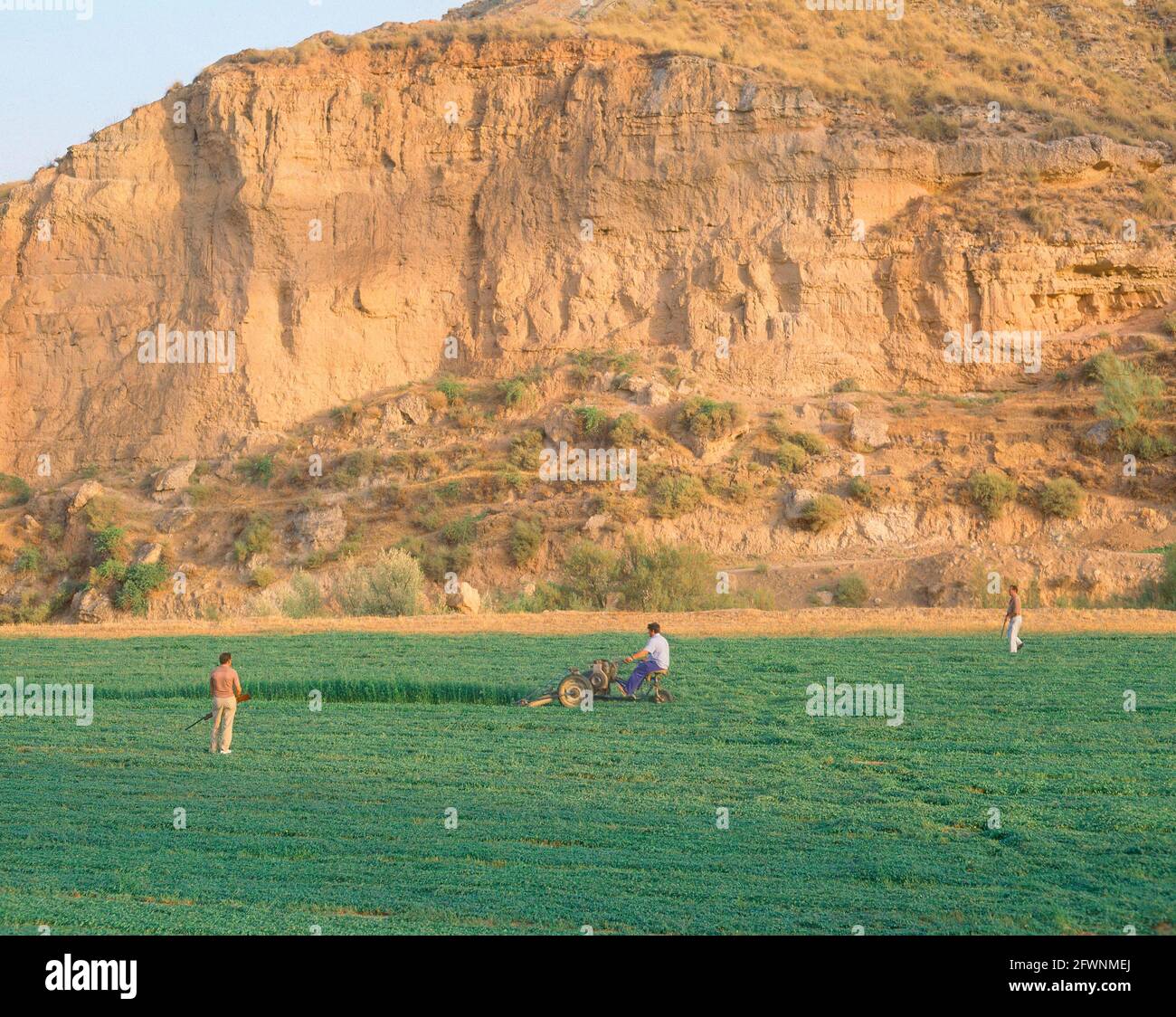 Cazadores de campo hi-res stock photography and images - Alamy