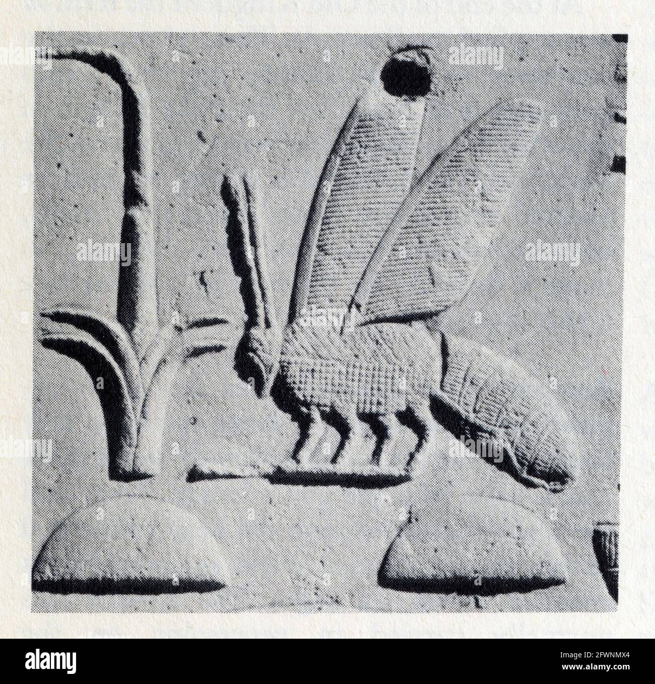 The sedge and the bee symbols of upper and lower egypt as part of the