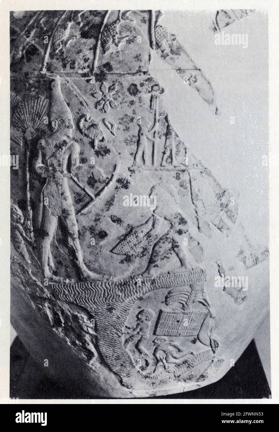 Mace head of scorpion king hires stock photography and images Alamy