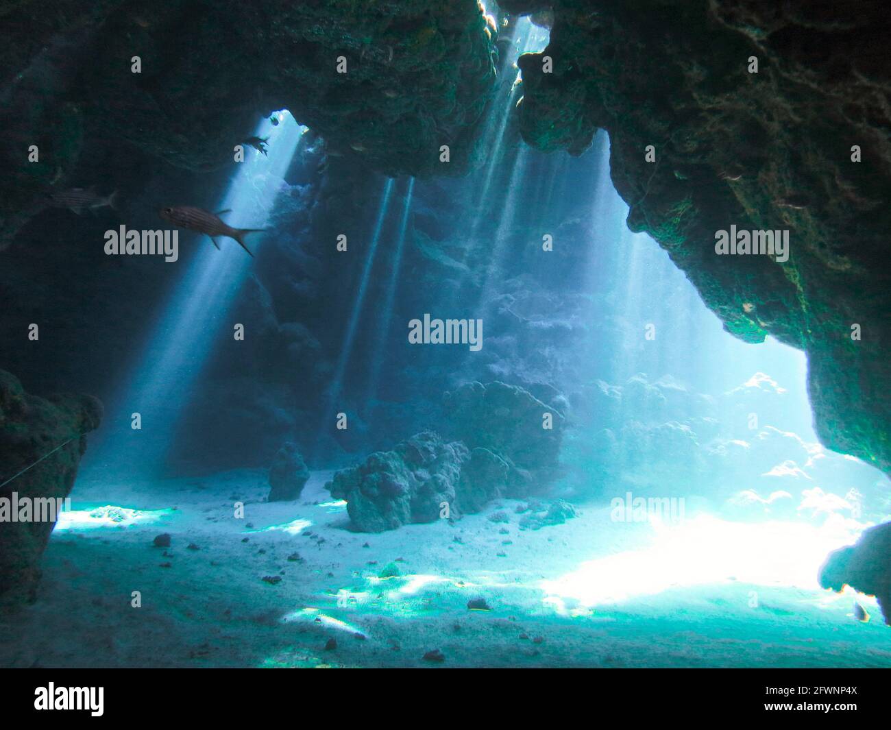 Underwater tunnel dive hires stock photography and images Alamy