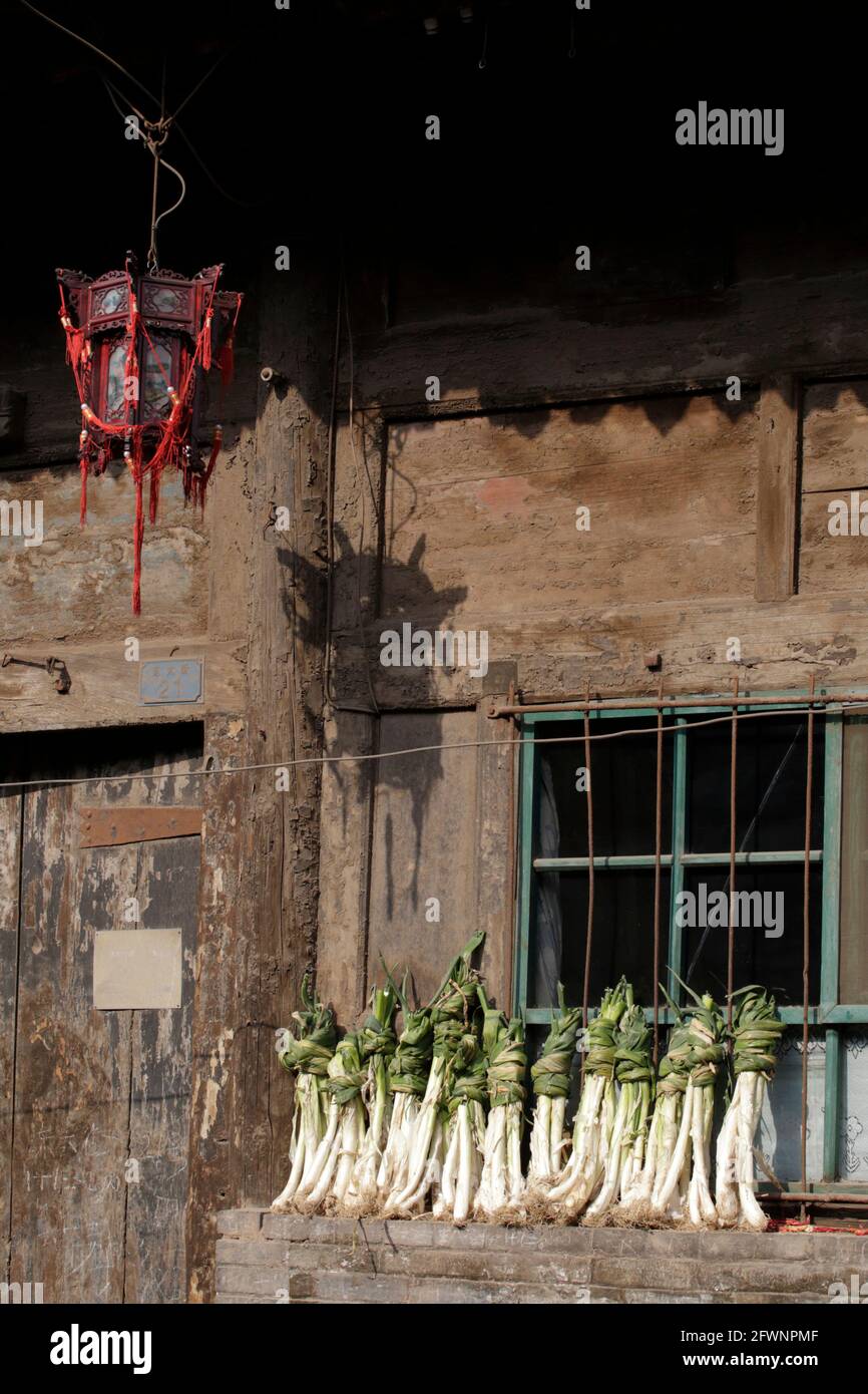 Vertical composition, Leeks, drying on a windowsill in wintry sunshine, Pingyao Old City, Shanxi Province, China 8th November 2012 Stock Photo
