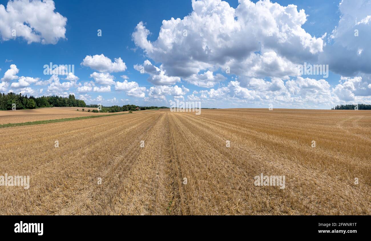 Stubble field panorama with impressive cloudscape Stock Photo