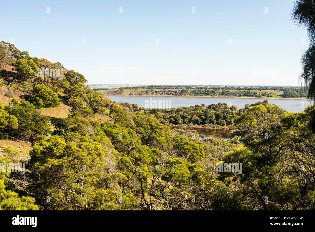 Tower Hill reserve, Victoria, Australia Stock Photo