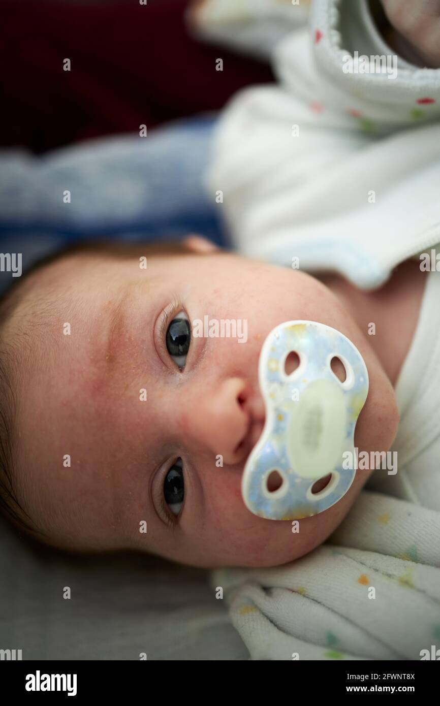 Newborn baby with a pacifier Stock Photo