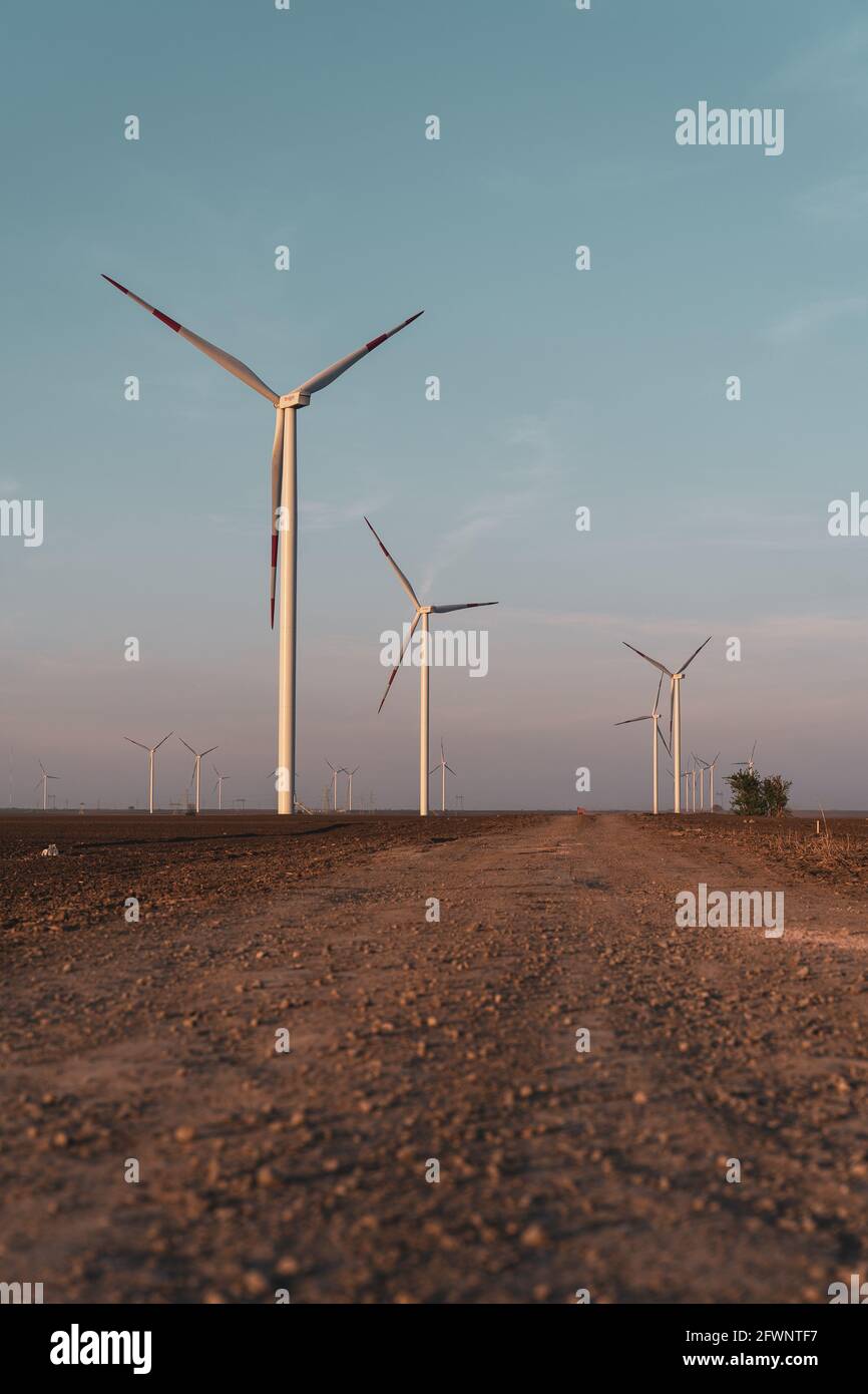 The windmills are located in the Pancevo region. They are used to produce electricity. They are located on land cultivated by ordinary people. Stock Photo