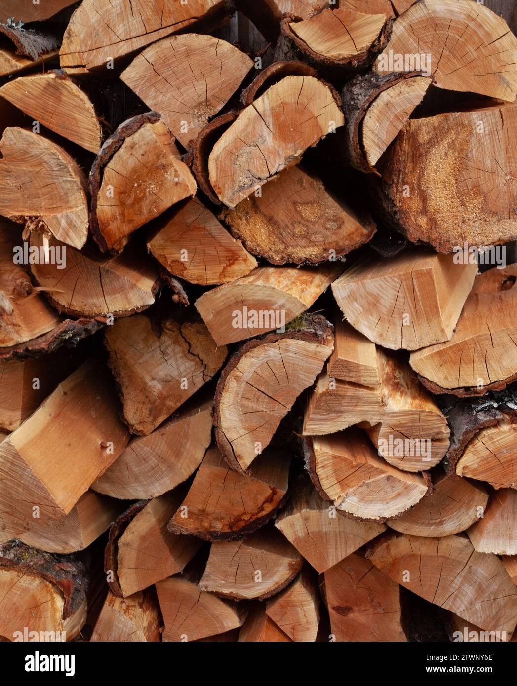 A pile of firewood, photograph of the edge of the beech logs. Stock Photo
