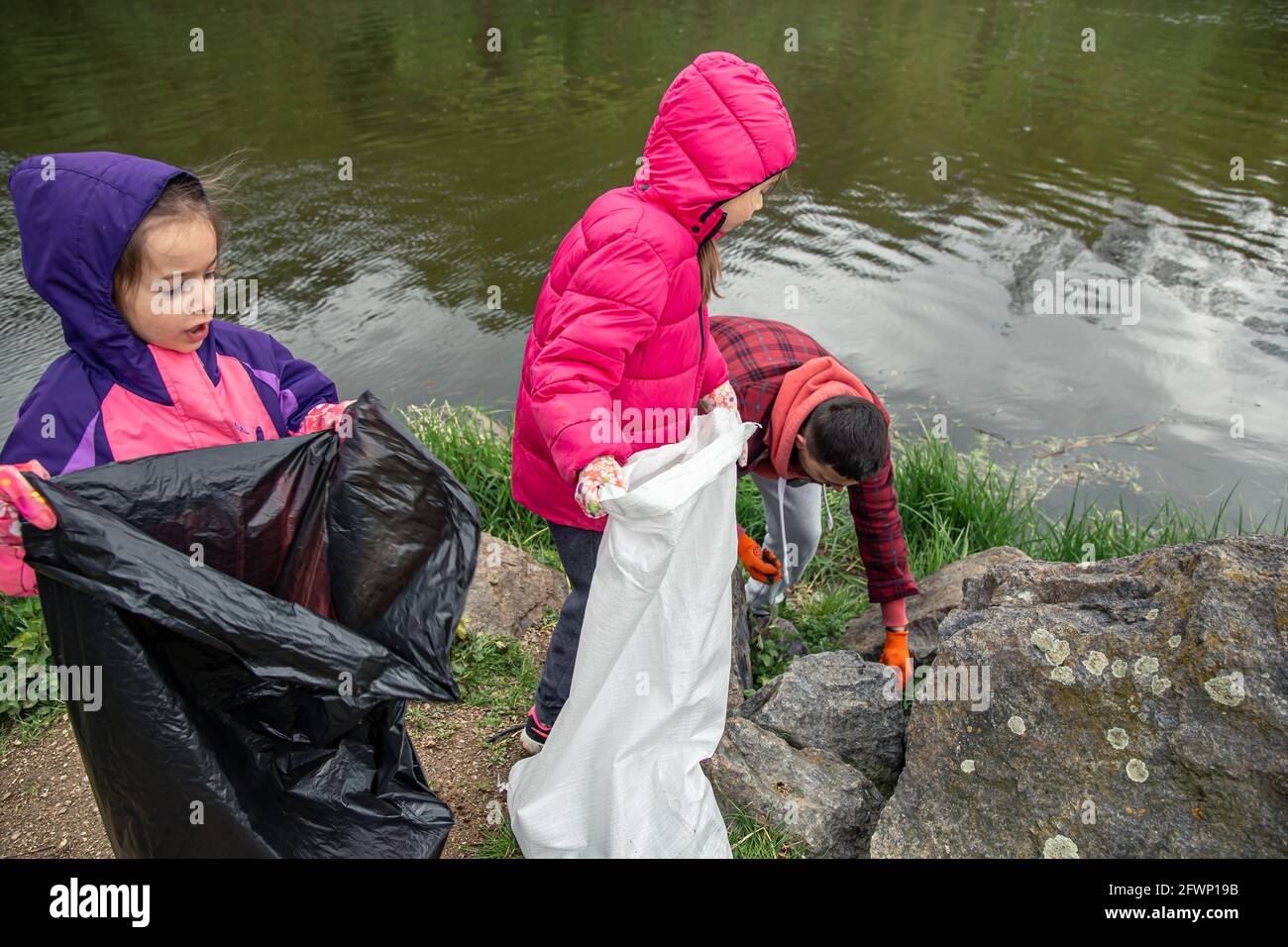 Children and dad are cleaning up garbage in the forest near the river. Stock Photo