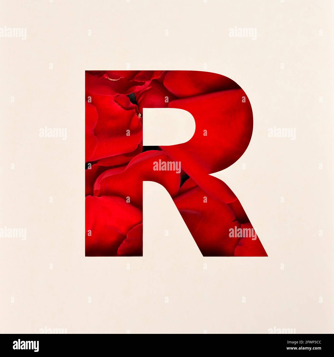 Font design, Abstract alphabet font with Rose petals, realistic flower ...