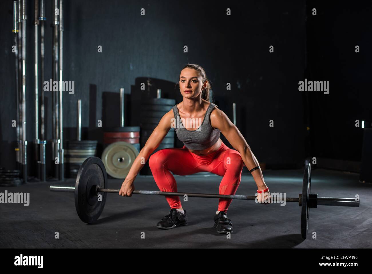 Vetores de Deadlift Competição Powerlifting e mais imagens de 2019 - 2019,  Academia de ginástica, Adulto - iStock