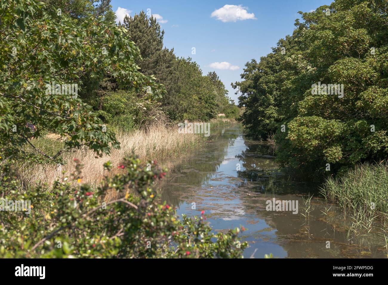 The little River Alver flowing through Alver Valley Country Park, Gosport, Hampshire, UK Stock Photo