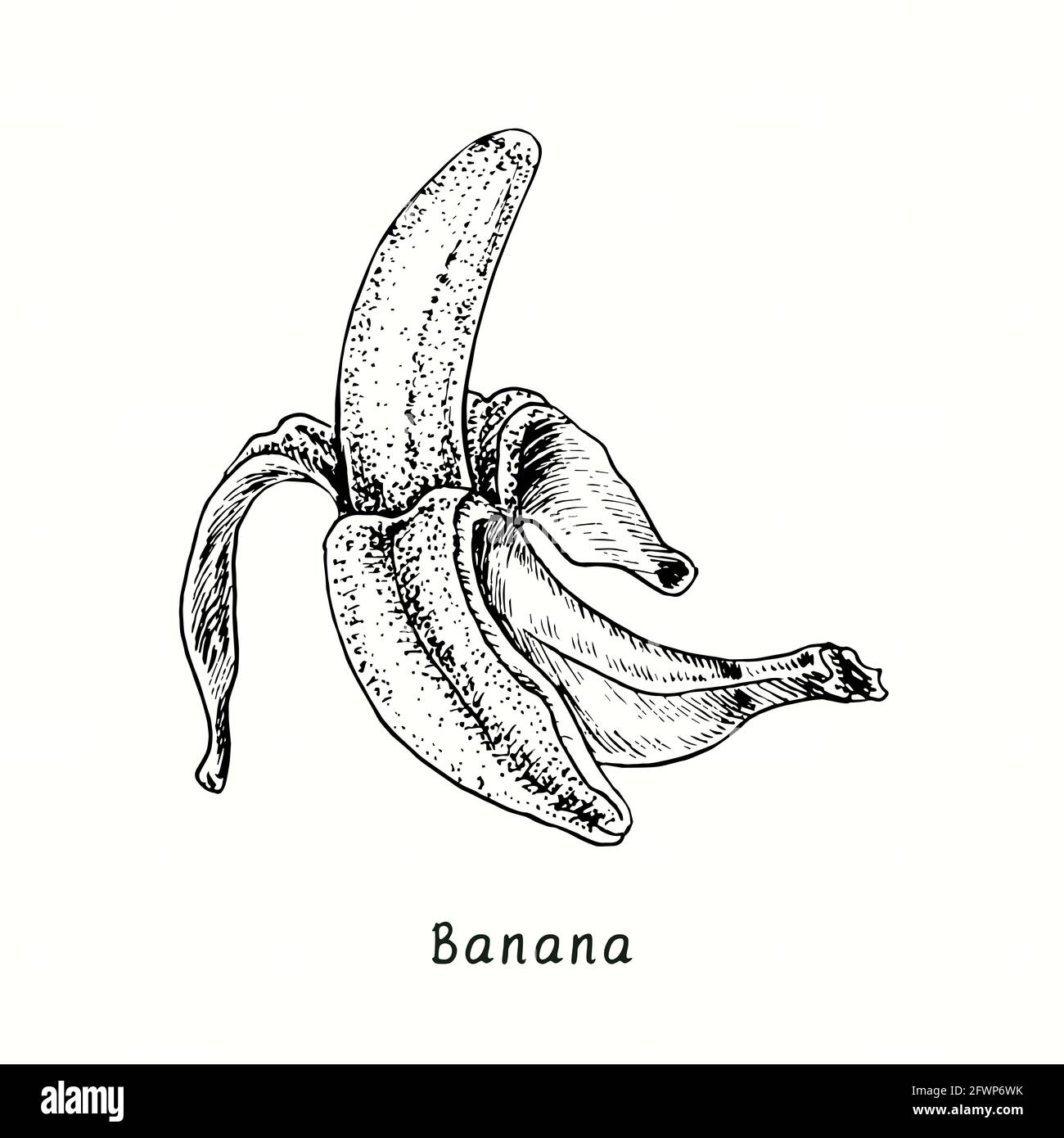 Banana Pencil Drawing Print A5 / A4 - Etsy