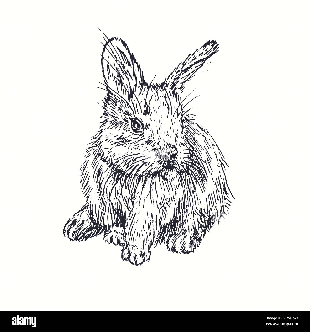 Rabbit (hare) sitting front view. Ink black and white doodle drawing in woodcut style. Stock Photo