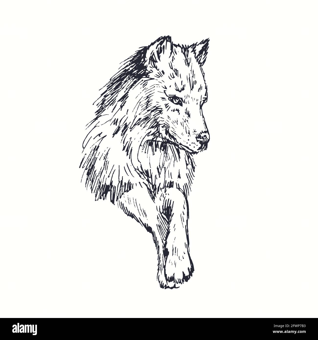 Portrait of a Timber Wolf – stunning poster – Photowall
