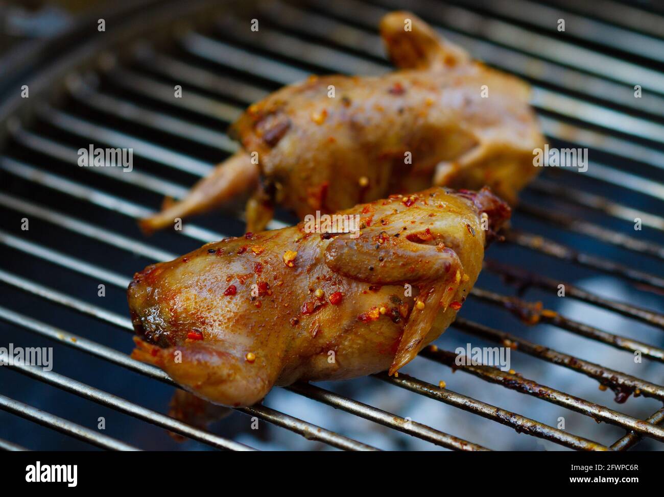 Preparation of marinated quail on the grill grate Stock Photo Alamy