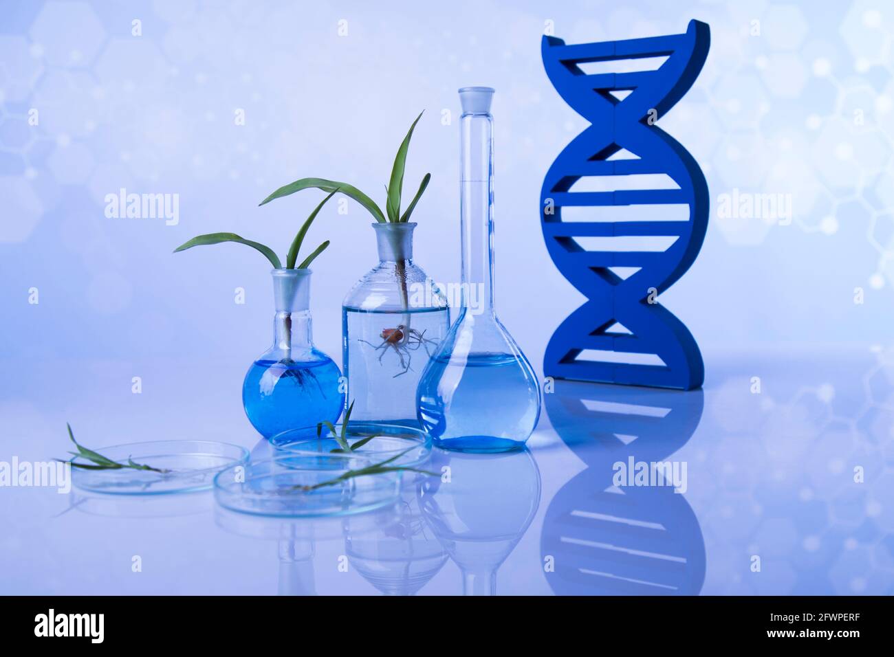 Dna, Glassware, Laboratory beakers,Science experiment Stock Photo - Alamy