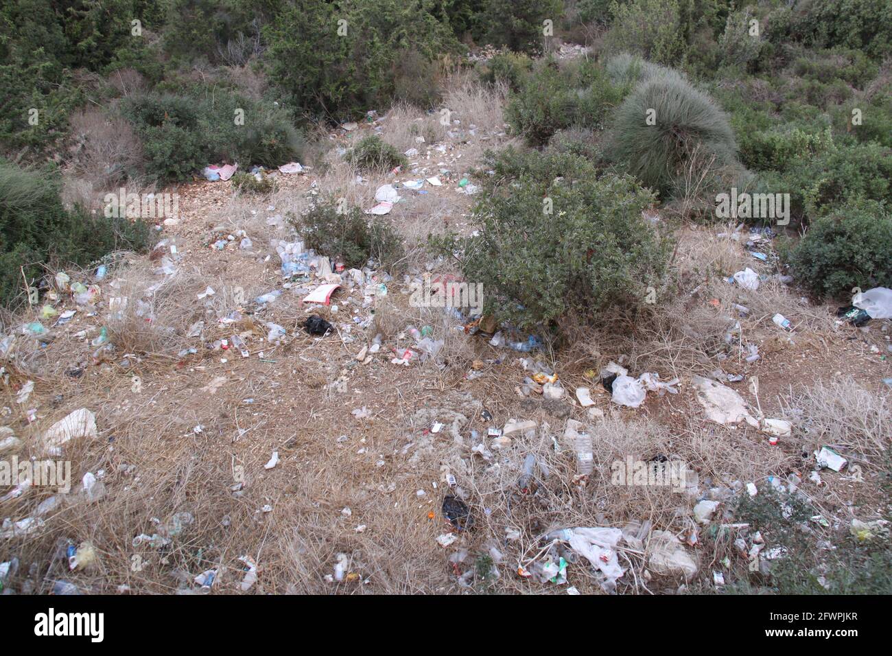 huge amount of litter between the grass and shrubs on a mountain slope Stock Photo