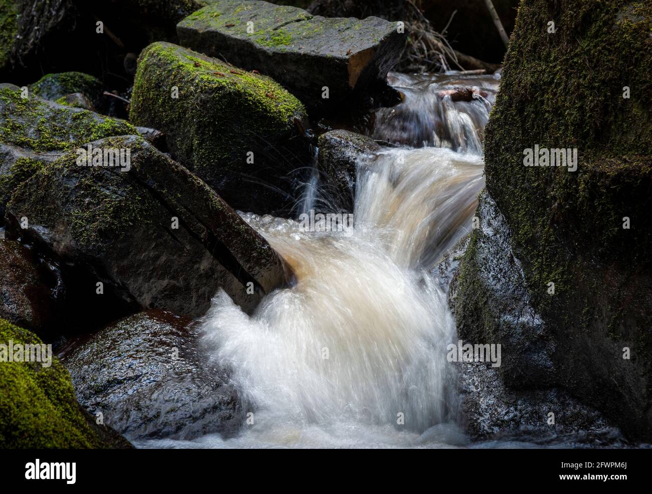 Wyming brook nature reserve, peak district national park, Sheffield, south Yorkshire, England, UK Stock Photo