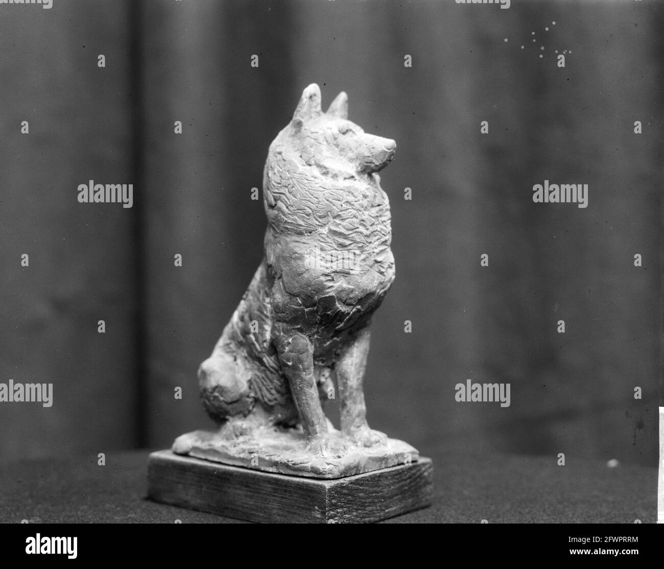 World animal day 1965 hires stock photography and images Alamy