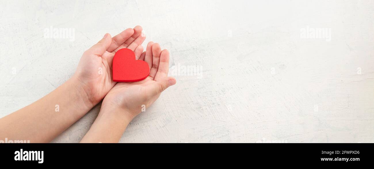 banner with children hands holding red heart on white textured ...