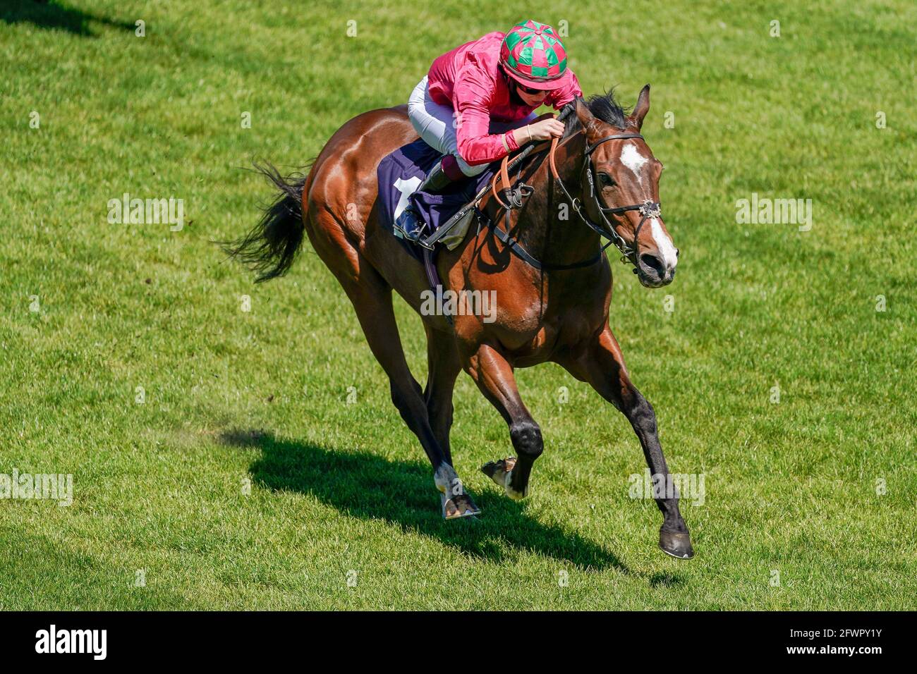 saffie-osborne-2021-hi-res-stock-photography-and-images-alamy