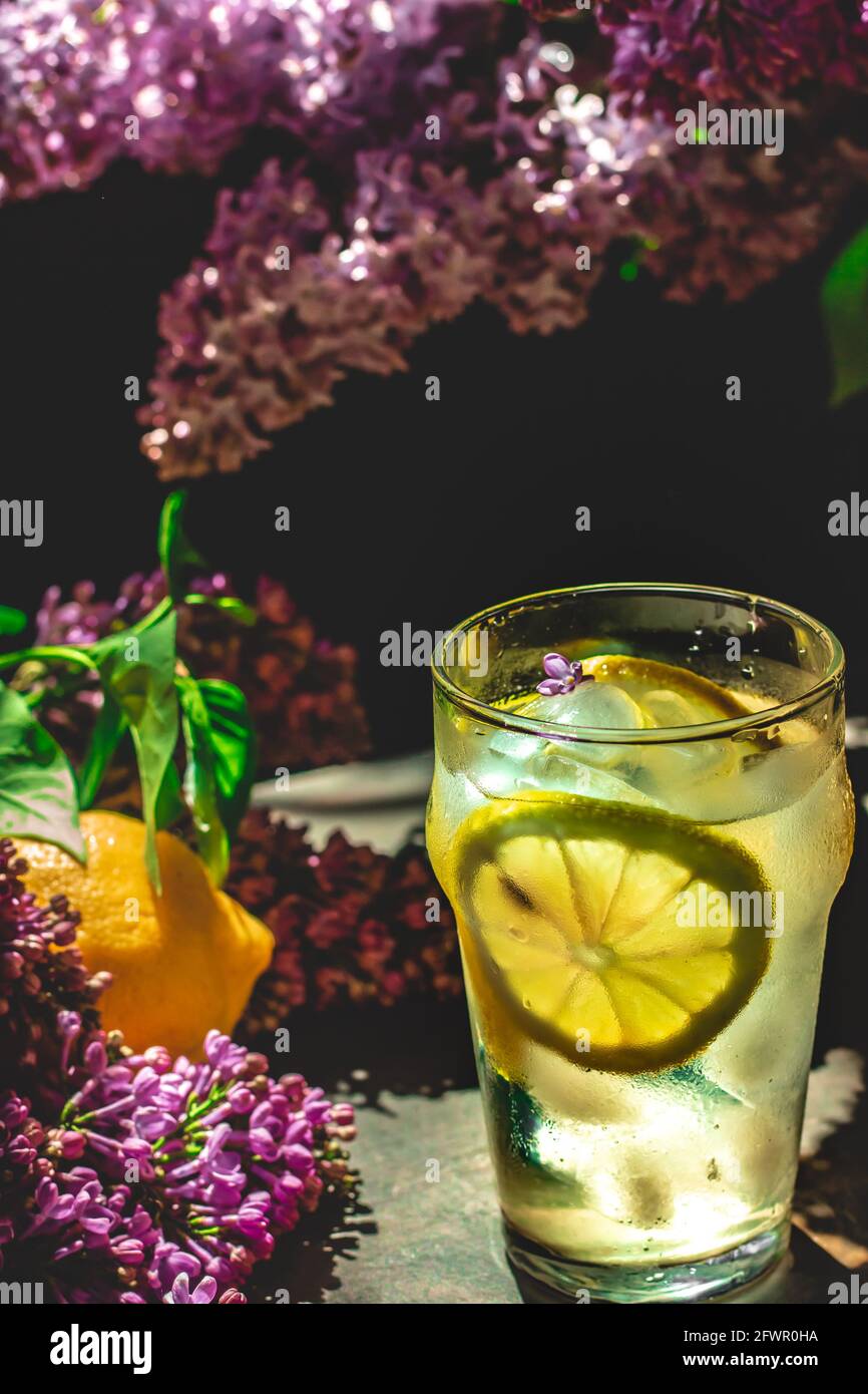 Refreshing lemon lilac drink. Stock Photo