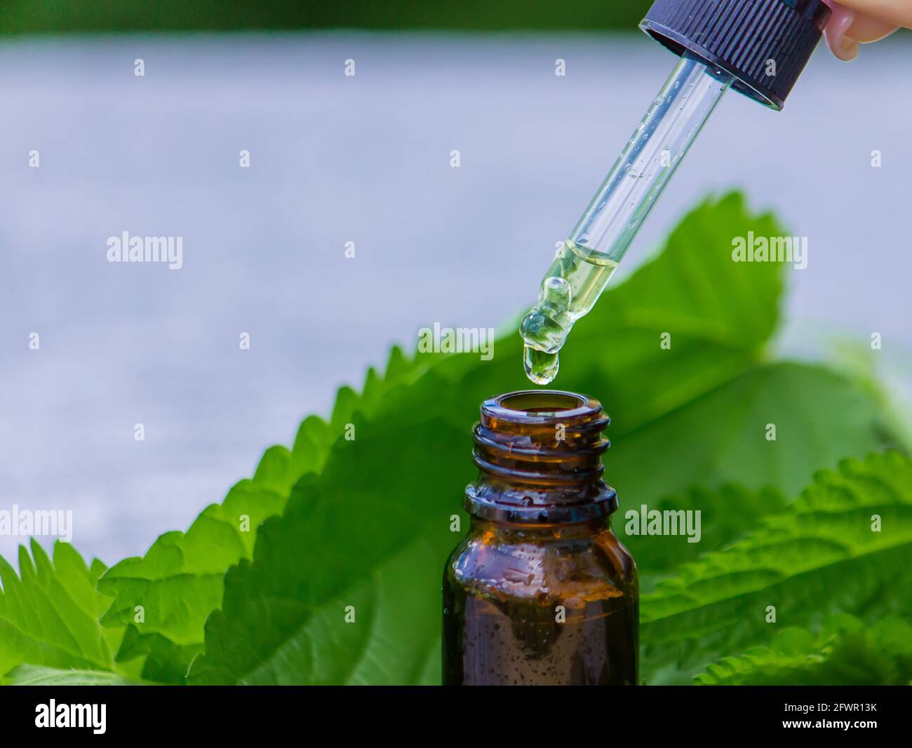 large antique glass bottle with light green liquid as medicine and herbal  mixture Stock Photo - Alamy