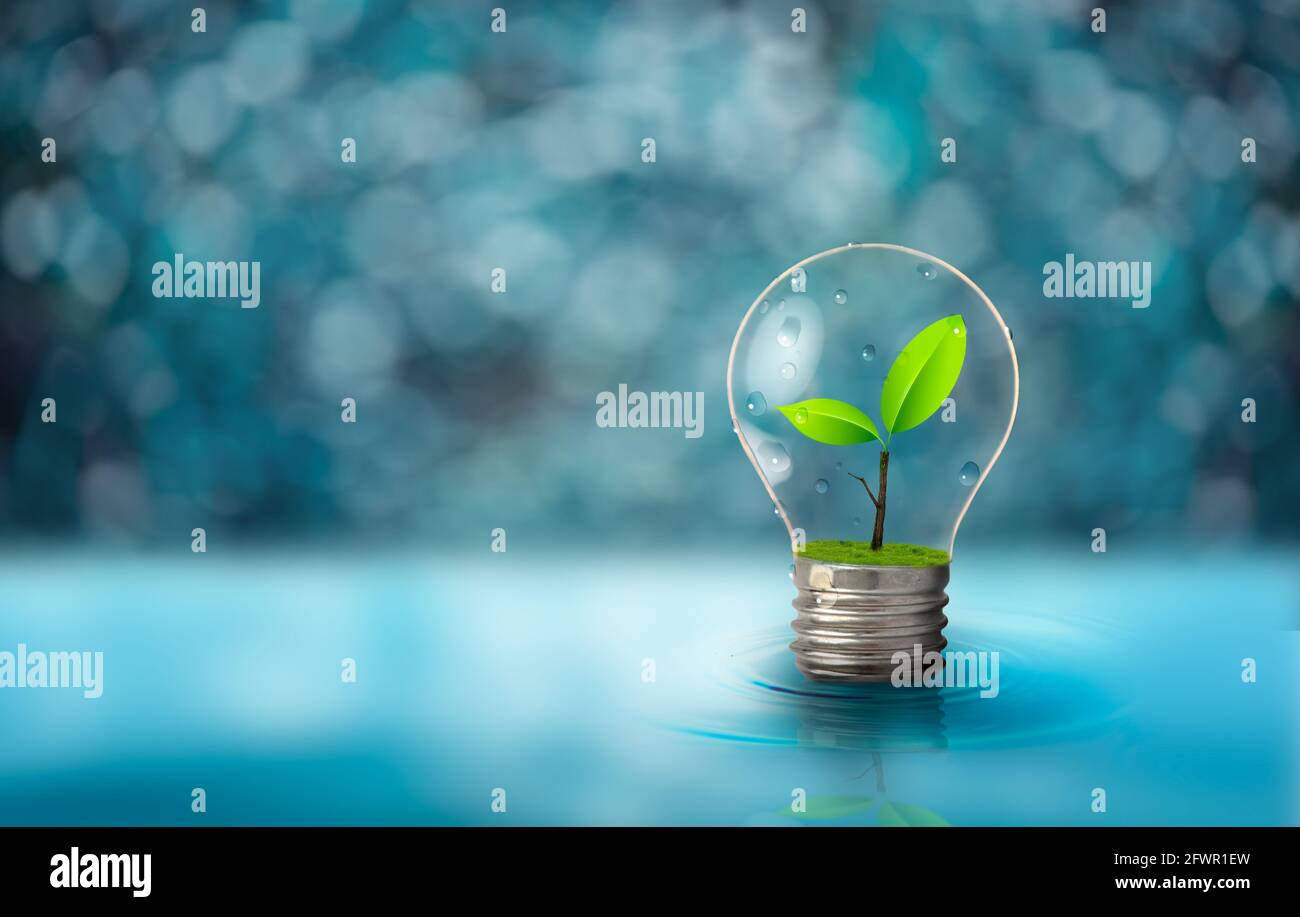 Light bulb with fresh green leaf inside on blurred light blue ...