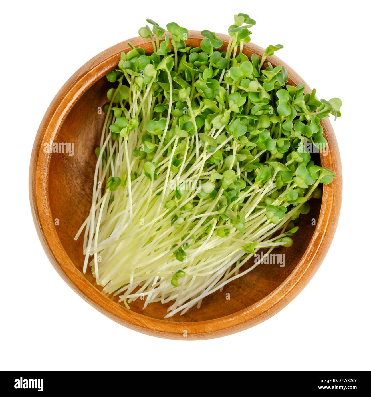 Rapeseed microgreens, in a wooden bowl. Ready to eat, green canola sprouts, seedlings, shoots and young plants of Brassica napus, used as garnish. Stock Photo