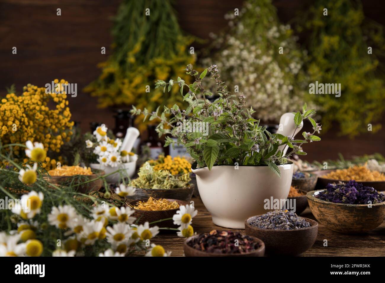 Alternative medicine dried herbs background Stock Photo Alamy