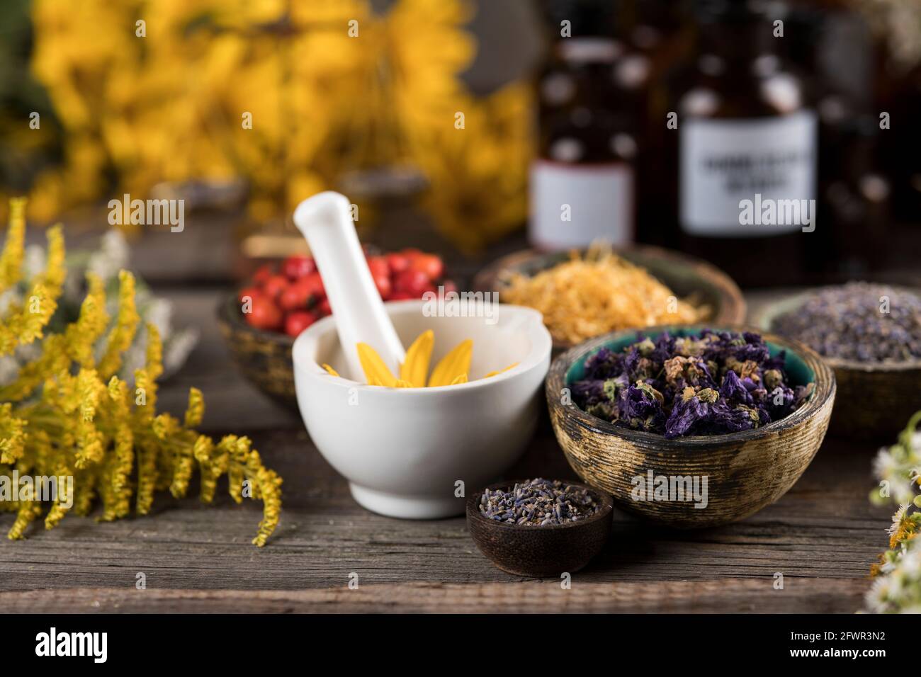 Alternative medicine dried herbs background Stock Photo Alamy
