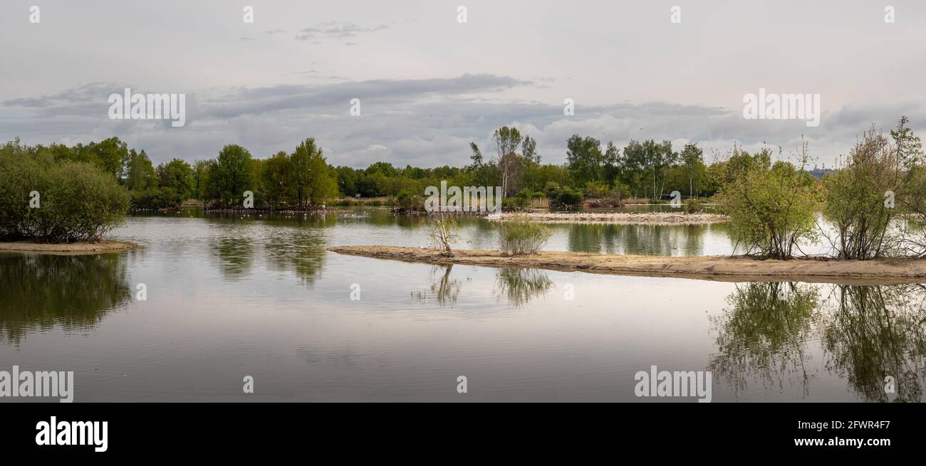 small islands with waterfowl in the pond, Vrbenske rybniky Nature reserve, Ceske Budejovice, Czech republic Stock Photo