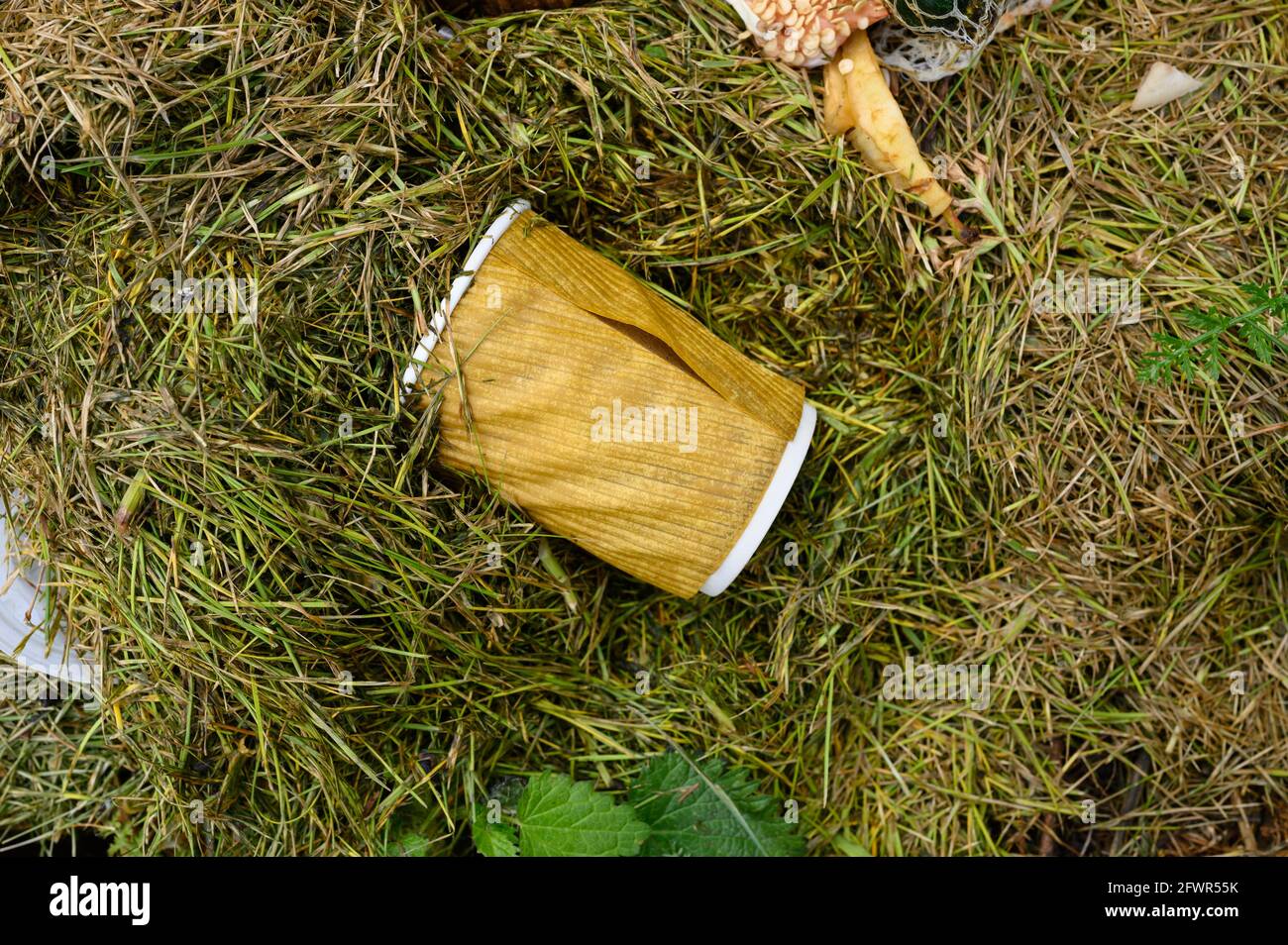 Food waste and a compostable coffee cup on a household or domestic