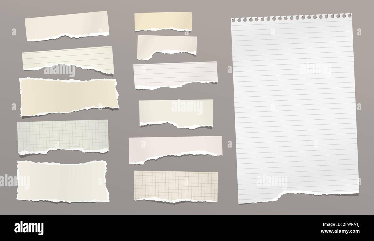 Set of torn yellow paper stripes and note, notebook sheet stuck on brown background. Vector illustration Stock Vector