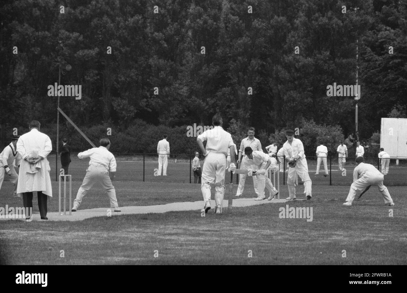 Cricket HCC against Rood en Wit in The Hague, 21 June 1959, cricket, sports, The Netherlands, 20th century press agency photo, news to remember, documentary, historic photography 1945-1990, visual stories, human history of the Twentieth Century, capturing moments in time Stock Photo