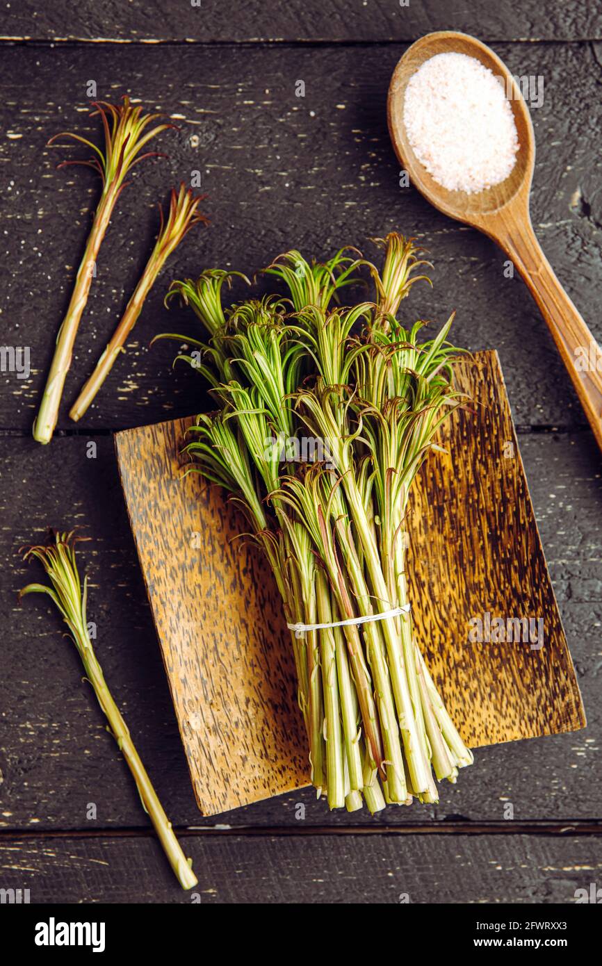 Above view of green willowherb or known as fireweed Chamaenerion angustifolium young fresh shroots in spring in home kitchen preparations. Stock Photo